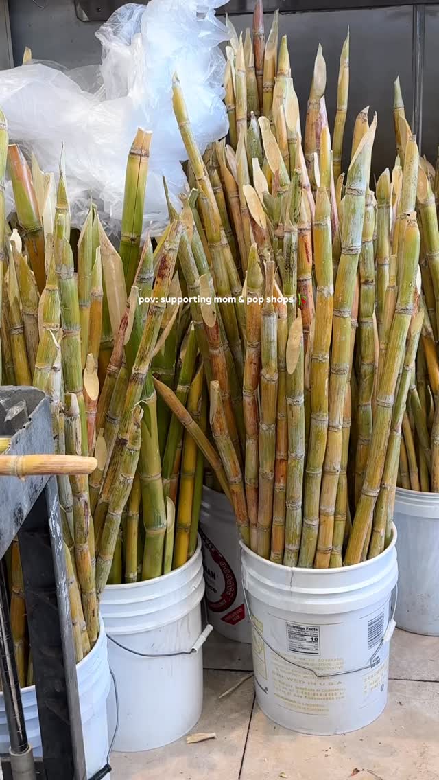 something about fresh nước mía from a little viet spot 🎋🤏🏼

📍Nước Mía Long An — 8942 Bolsa Ave, Westminster, CA 92683

#westminsterca #ocfoodies #vietfood #nuocmia #sugarcane